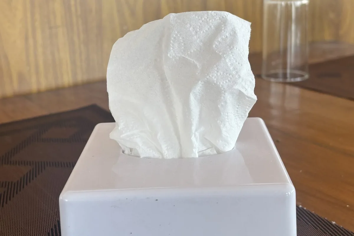 A tissue pulled from a box