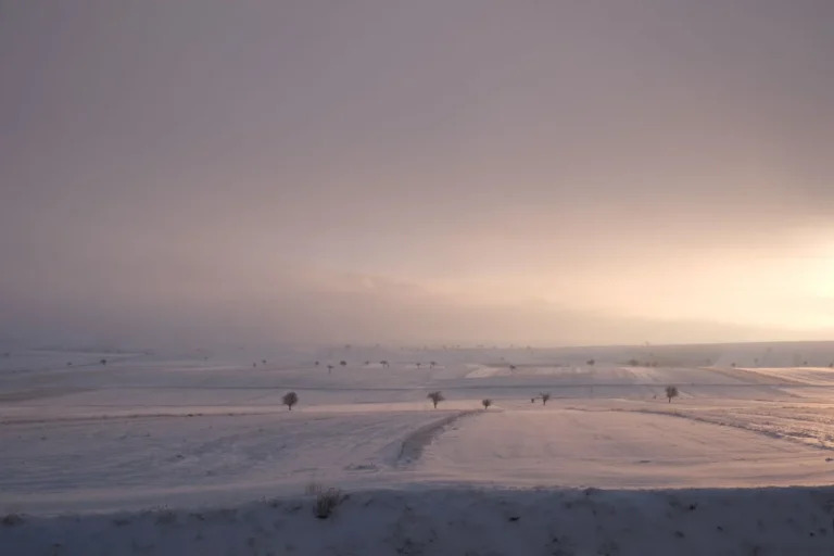 A snowy field at dawn