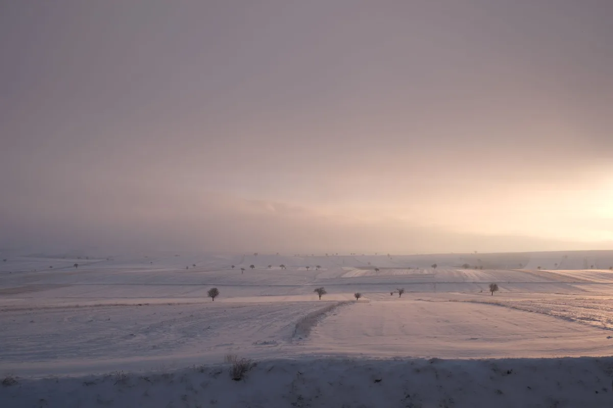 A snowy field at dawn