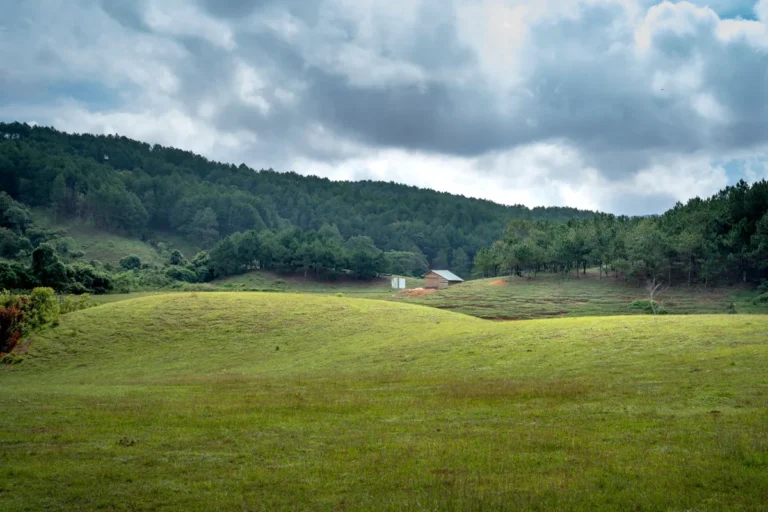 A grassy hill under the sky