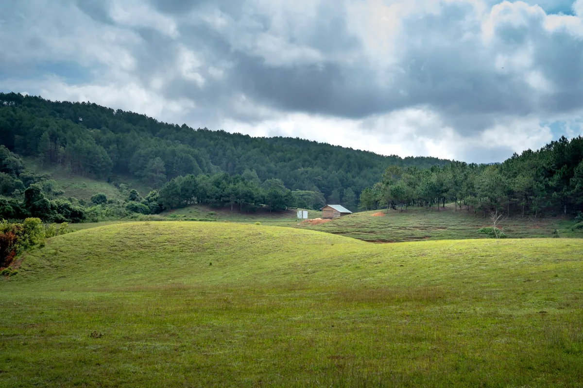 A grassy hill under the sky