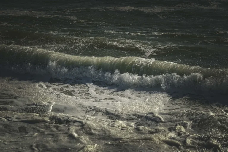 Sea foam on stormy waves