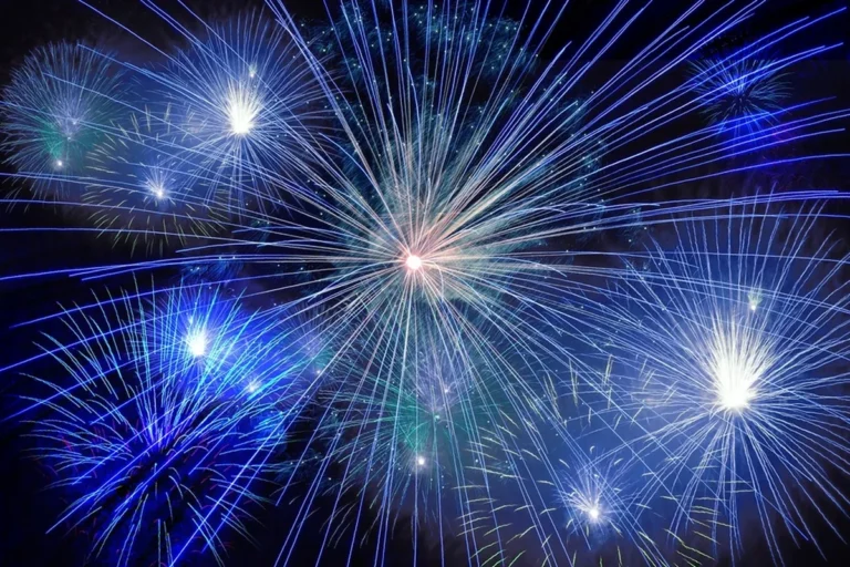 Fireworks bursting in the night sky