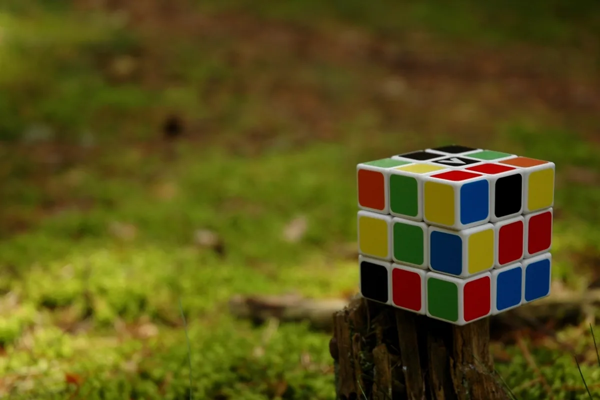 A Rubik's Cube on a tree stump