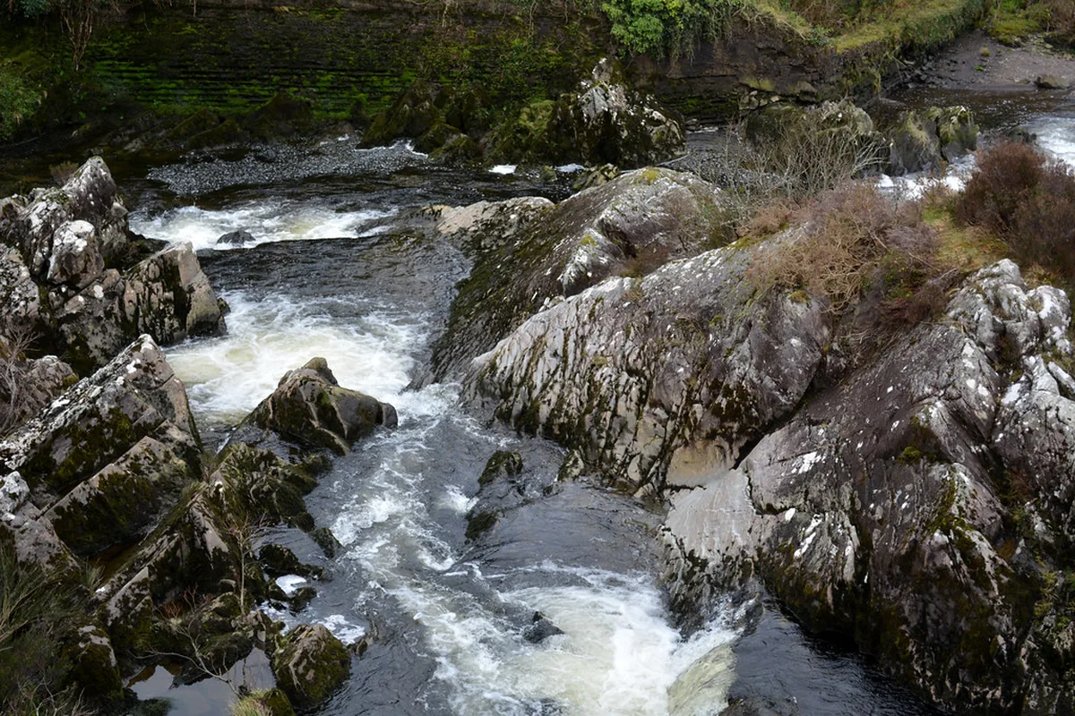 A rocky river through green woodland