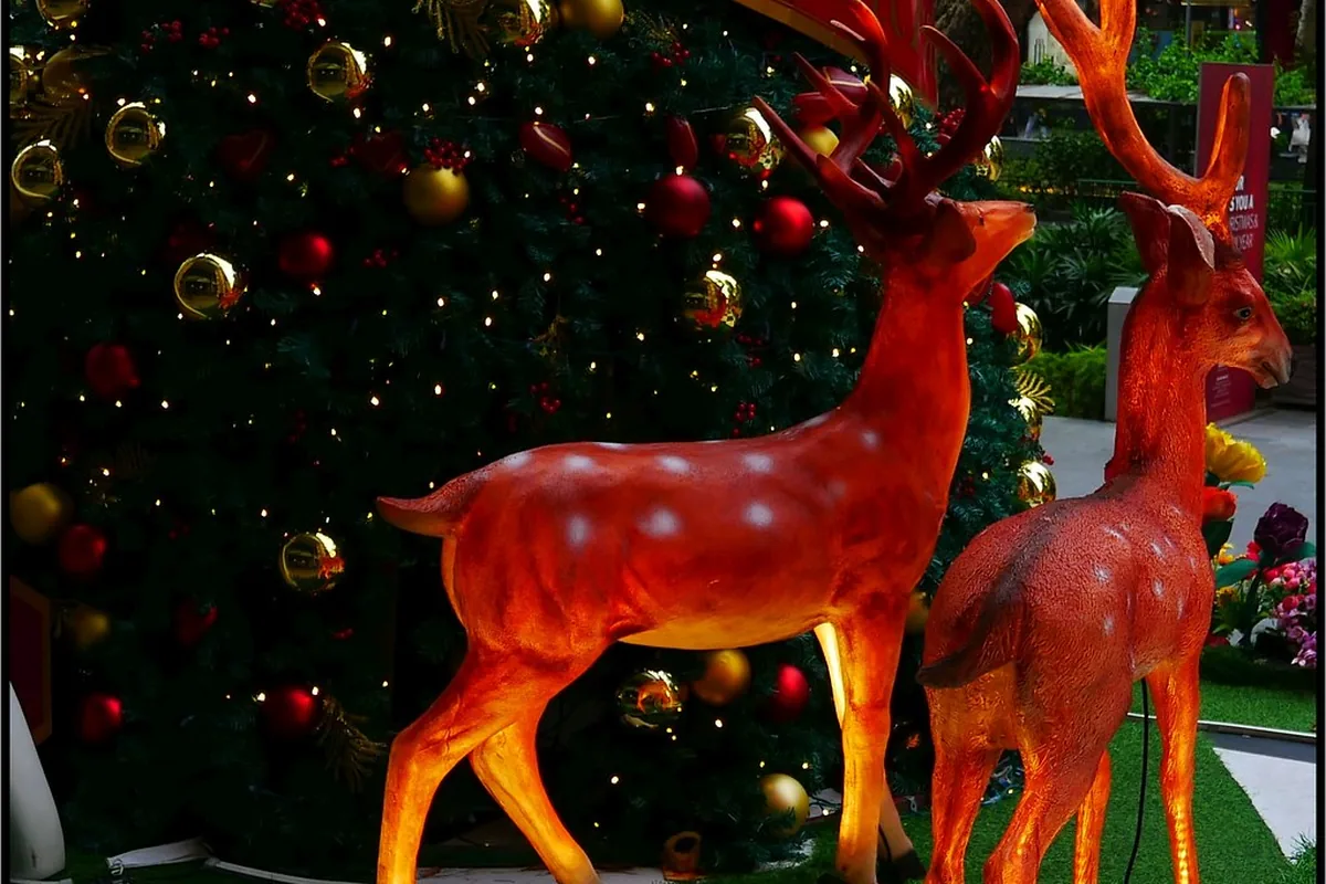 Christmas reindeer figures and a tree