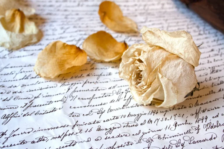 Old love letters and a rose