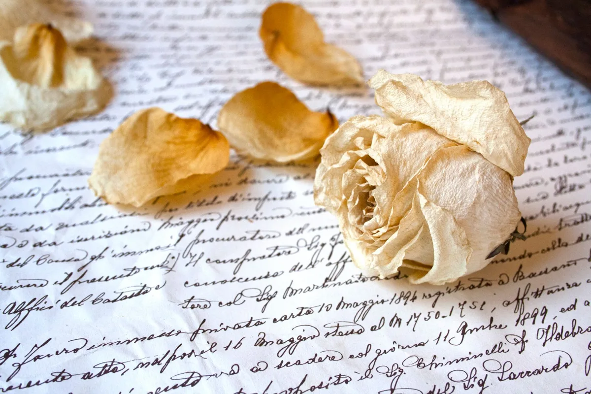 Old love letters and a rose